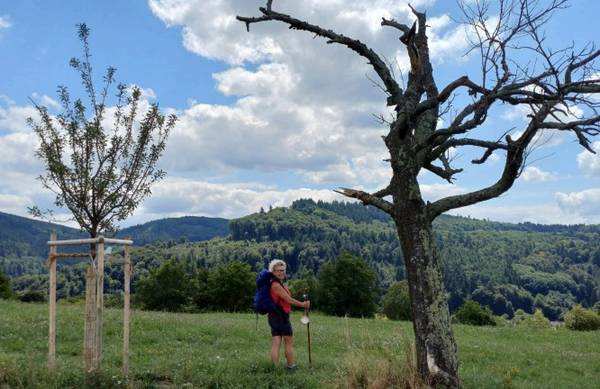 Frau mit Walkingstöcken in der Natur